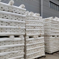 Tissu Taffetas 75D 210T 100% Polyester Léger, Imperméable, Respirant et Résistant aux Déchirures pour Doublure de Manteau/Veste - Vente en Gros Usine