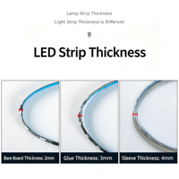 Lampu LED Strip 5V Addressable WS2812B SK6812,5050 Full Color Built-in IC Programmable Dream Color Lampu Strip Aliran Warna-warni Terkenal di Internet