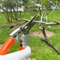 Professionele Kwaliteit DIY Grade Bypass Pruner Schaar Staal Antislip Grip voor Tuin Druif Bloem Boom Snoeien Snijden