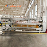 Cage à poulets de chair automatique de type H, galvanisée à chaud, prix usine, équipement d'élevage de poulets de chair, système d'élevage en batterie pour poulaillers