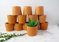 Lot de 10 mini pots en terre cuite non vernis, pots en argile, pots en céramique pour plantes succulentes, mini pots pour cactus, pour la maison, le salon, la chambre d'hôtel, intérieur