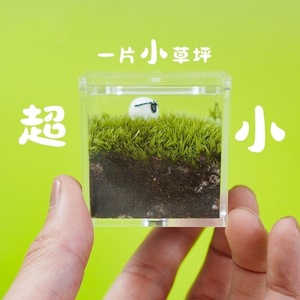 Desktop moss miniature landscape, office worker's ox and horse creative green plant ornament, DIY gift, graduation season gift - Product Image 2