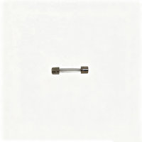 Fusible à temporisation Trane FUS02289 3A 250V 5x20mm, fusible de circuit de commande d'origine Trane FUS02289 pour refroidisseur RTHB/RTHD, fusible 3A