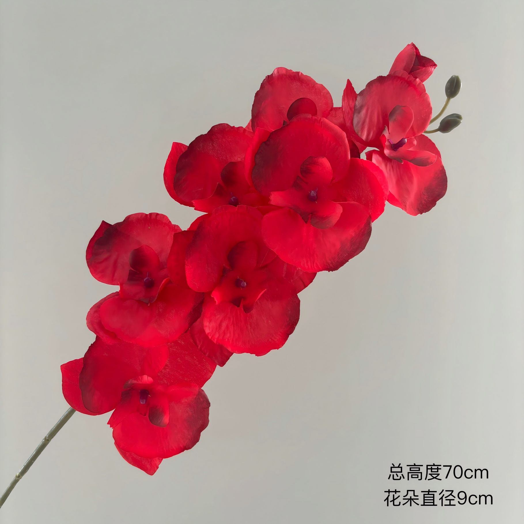 Rouge