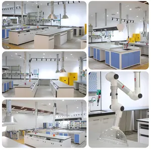 Suministro profesional Muebles de laboratorio Banco de laboratorio de química Banco de pared para varios laboratorios