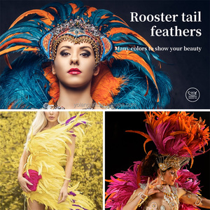 <span class=keywords><strong>Plumes</strong></span> de queue de coq teintes sur mesure en gros, de haute qualité, pour la décoration de costumes <span class=keywords><strong>et</strong></span> l'embellissement - Product Image 4