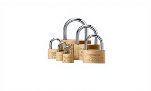 Hochwertige Sicherheits vorhänge schlösser mit Diebstahls icherung 20-60mm Messing lackierte Eisens chlösser Gepäck rucksack Werkzeug kasten Tür vorhänge schloss PH - Product Image 2