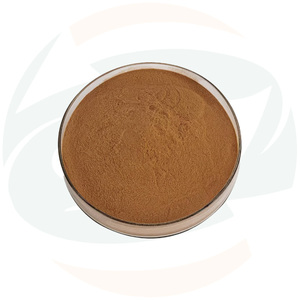 Extrait de racine d'angélique de Dahan, en poudre, naturel, d'origine végétale, pour les industries cosmétique et alimentaire – Approvisionnement direct usine Chine-Herbes - Product Image 3