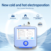 Venta caliente Cuidado de la piel facial Fabricante D Cool Ems Electroporación Mesoterapia Rejuvenecimiento DE LA PIEL Refrigeración Máquina de tratamiento facial