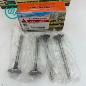 Válvula de Escape Diésel EexcavaStart 490B-03015 para Montacargas y Miniexcavadoras con Motores 490BPG - Duradera, Confiable y Fácil de Instalar - Product Image 1