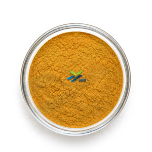Suministro Directo de Fábrica HGO, Extracto de Semilla de Mostaza (Brassica juncea (L.) Czern.) Relación de Grado Alimenticio 4:1 5:1 10:1 20:1 100:1 200:1 - Product Image 1