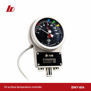 Controlador de Temperatura para Transformador de Aceite BWY-804ATH de Alta Calidad - Product Image 2