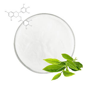 Пищевой экстракт зеленого чая порошок <span class=keywords><strong>EGCG</strong></span> - Product Image 3