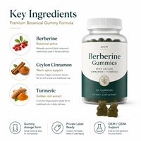 Gummies de berbérine à marque privée, cannelle de Ceylan, curcuma, soutien métabolique, fabrication OEM ODM, fabricant sous contrat