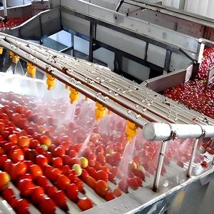 Nettoyeur de fruits et légumes Ruifei : <span class=keywords><strong>Ananas</strong></span>, Orange, Mangue, Ail, Pomme, <span class=keywords><strong>Tomate</strong></span>, Pommes de terre – Ligne de nettoyage similaire aux icônes - Product Image 3