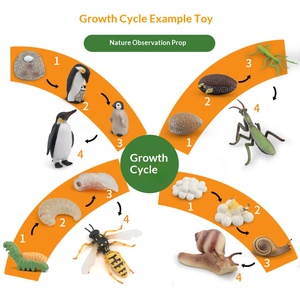 Figuras de Animales del Ciclo de Vida Montessori, Juguete Educativo Preescolar para Niños Pequeños, Juego de Material Didáctico - Product Image 3