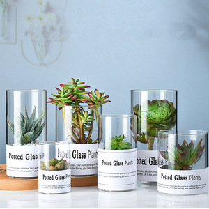 Jarrón de Vidrio Cilíndrico Moderno Hecho a Mano de Alta Calidad, Cristal Transparente de Borosilicato Ecológico para Flores de Boda y Decoración del <span class=keywords><strong>Hogar</strong></span> - Product Image 3
