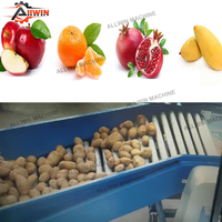 Automatische 304 roestvrijstalen fruit- en groentesorteermachine met capaciteit van 1200 kg/uur voor aardappelen ALLWIN AWFX-60