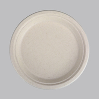 Assiette de bagasse de canne à sucre biodégradable plats de fête compostables assiette jetable pour gâteau et dessert