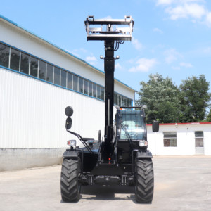 Sıcak Satışta SYNBON Dizel 4 Ton 7 Metre Teleskopik Yükleyici, Şanzımanlı ve Uzun Ömürlü |   Fabrika'dan Doğrudan Satış CE Sertifikalı Dünya Çapında Gönderim - Product Image 3