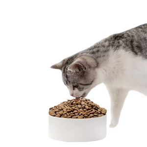 طعام جاف للكلاب والقطط البالغة من مصنع التوريد، خالٍ من المواد المعدلة وراثياً، بأوزان 5 كجم و10 كجم و20 كجم و25 كجم، صنع في الصين - Product Image 2