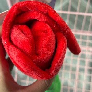 Nouveauté 2026 : Jouets interactifs pour chats et chiens, en peluche durable, en coton écologique, avec sonnette, conçus sur mesure par des designers - Product Image 4