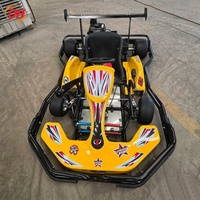 Go-Kart Eléctrico Recreativo de Bajo Ruido, Motor sin Escobillas de 1200W DC60V, Freno de Disco Trasero, Parachoques Envolvente para Alquiler en Pistas al Aire Libre