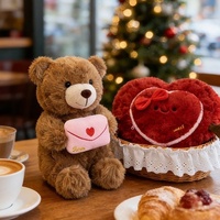 Ensemble d'ours en peluche Cœur d'amour et Lettre d'amour - Couleurs et motifs personnalisables, jouets en peluche personnalisés pour cadeaux de la Saint-Valentin