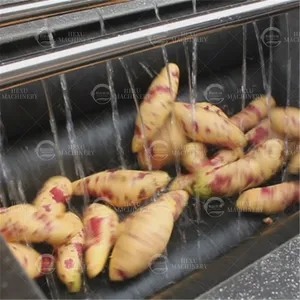 Industrieel Wortelgroente Fruit Gember Yam Groentesnijder Grootschalige Aardappelschilmachine Cassave Peeling Machine Nigeria