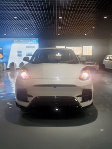 Mobil listrik <span class=keywords><strong>mini</strong></span> dengan kecepatan rendah dan harga murah untuk dua penumpang dewasa orang tua - Product Image 3