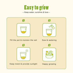 Kit di coltivazione per antipasti da giardino con insalata biologica-4 varietà vegetariane - Product Image 4