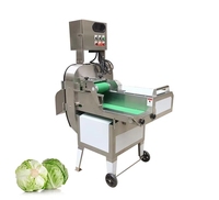 Multifunctionele automatische zware groente-snijmachine/aardappel- en fruitsnijder voor restaurants & hotels