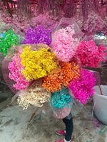 Speciale Munti Kleur Gypsophila Baby's Adem Bloemen Ge conserveerde Gypsophila Baby Star 120g Bloemknop Lamp voor DIY Materiaal Huisdecoratie