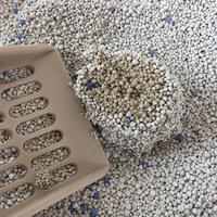 Conception spéciale largement utilisée Machine Japon Bentonite Cat Litière Rock