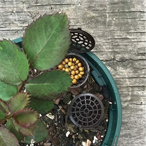 Besafe Portable Aquarium Jardin Engrais Pépinière <span class=keywords><strong>Pot</strong></span> maille panier avec couvercle pour Plante Orchidée Bonsaï Fleur - Product Image 1