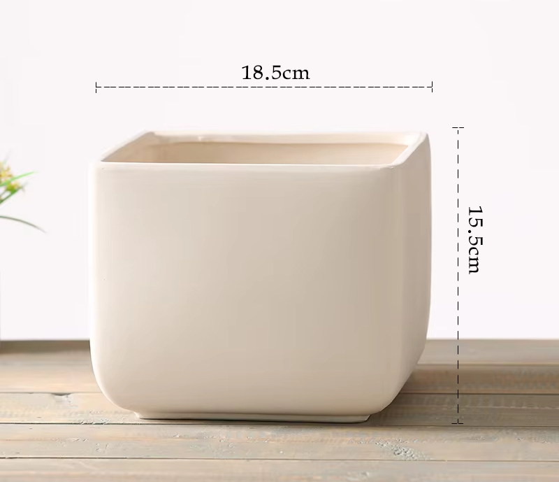 square large size 18.5cm (without tray