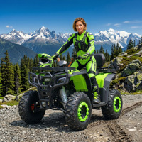 Quad à essence 4 temps 200cc 250cc à moteur thermique pour adultes, quatre roues, homologué CE, type Go Kart