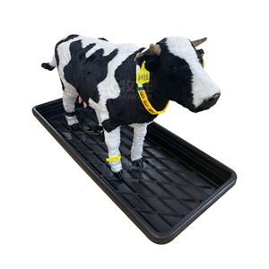 Équipement de désinfection des sabots d'animaux vétérinaires de haute qualité pour le bain des sabots des vaches laitières - Product Image 6