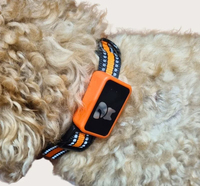 Elecpet - Mini Rastreador GPS 4G Inalámbrico para Mascotas, Contador de Pasos, Calorías, Tiempo Activo, Collar de Salud con Aplicación IOS y Android para Perros y Gatos