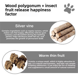 Jouet à mâcher pour chat en forme <span class=keywords><strong>de</strong></span> pantoufle, créatif, amusant, sûr et durable, pour l'auto-entretenissement, soulagement <span class=keywords><strong>de</strong></span> l'ennui, nettoyage et mastication des dents - Product Image 6