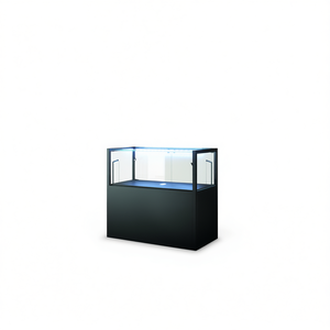 Vitrine de musée en fer 120x60x105cm, comptoir de vente avec éclairage LED et présentoir - Product Image 2