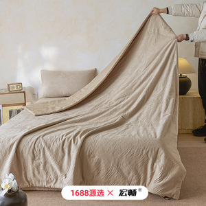 Simple 100% Cotton Jacquard Quilt Set 4 Pieces Machine Washable Thin Summer Cooling Pure Cotton <b>Bedding</b> - Product Image 3