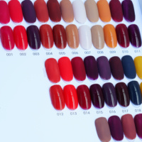 Ensemble de vernis à ongles en gel rouge brun chaud d'automne, 24 couleurs, UV LED, à retirer par trempage, étiquette privée personnalisée OEM pour salon de manucure