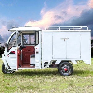 Repuestos para Triciclo Eléctrico de Carga <span class=keywords><strong>con</strong></span> Batería de Litio y Plomo-Ácido, Cabina para Triciclo Eléctrico, Furgoneta Eléctrica Pequeña - Product Image 5