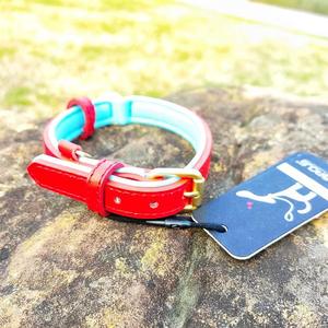 <span class=keywords><strong>Collar</strong></span> impermeable para mascotas a precio de fábrica, hebilla de aleación dorada, diseño de lujo para perros pequeños y grandes - Product Image 2