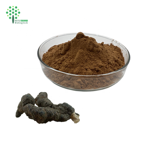 Extracto de <span class=keywords><strong>Polyporus</strong></span> Umbellatus, Hongo Polypore, 30% Polisacáridos - Product Image 3