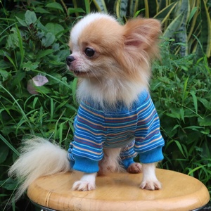 Qiqu personalizado nuevo diseñador perro pijamas Onesie algodón gato ropa disfraz para pequeño Chihuahua <span class=keywords><strong>Yorkshire</strong></span> <span class=keywords><strong>Terrier</strong></span> cachorro - Product Image 4