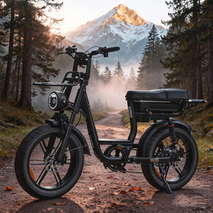 Vélo électrique EU STOCK C28 Fatbike, pneus 20*4 pouces, autonomie 50 km, freins à disque doubles, 7 vitesses, vélo hybride électrique urbain pour femme - Product Image 1