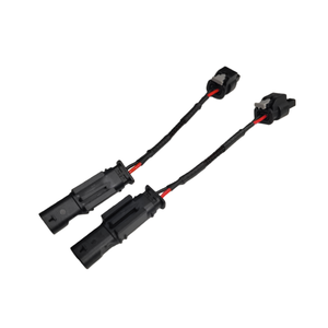 Auto 2 Pin Verlenging Mannelijk Naar Vrouwelijk Draadharnas Op Maat Voor Auto 'S - Product Image 2
