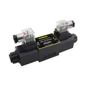 Van Điện Từ DSG02-3C2 220 Volt Có Nhu Cầu Cao Van Điện Từ 80L/PHÚT Van Điện Từ 24Vdc Ac220V Hyudoclic24V